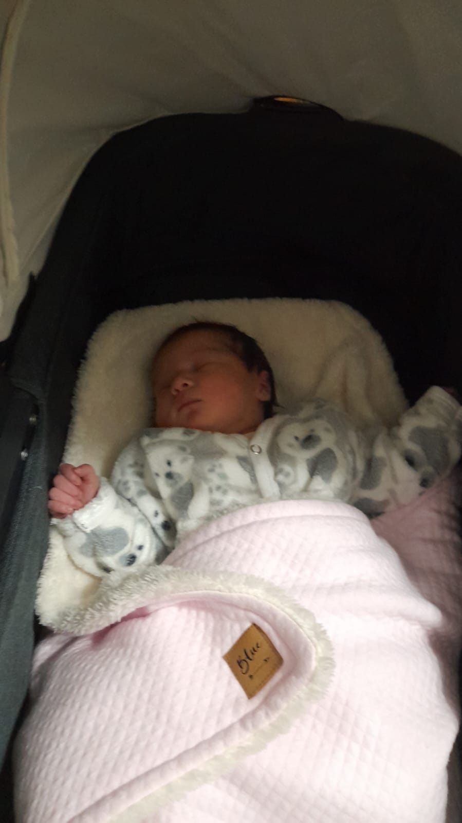 WhatsApp Image 2024-08-06 at 09.52.53.jpeg